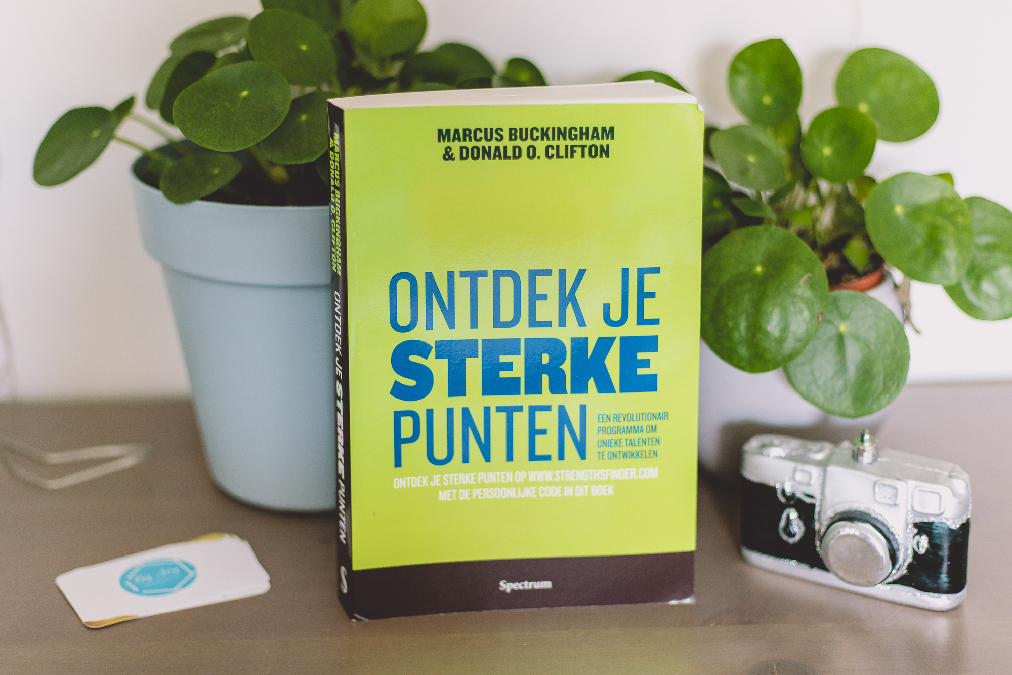 Ontdek je sterke punten het boek - Vincent van Blog